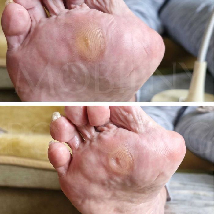 Mobilny Podolog - Gdańsk Pruszcz Gdański i okolice