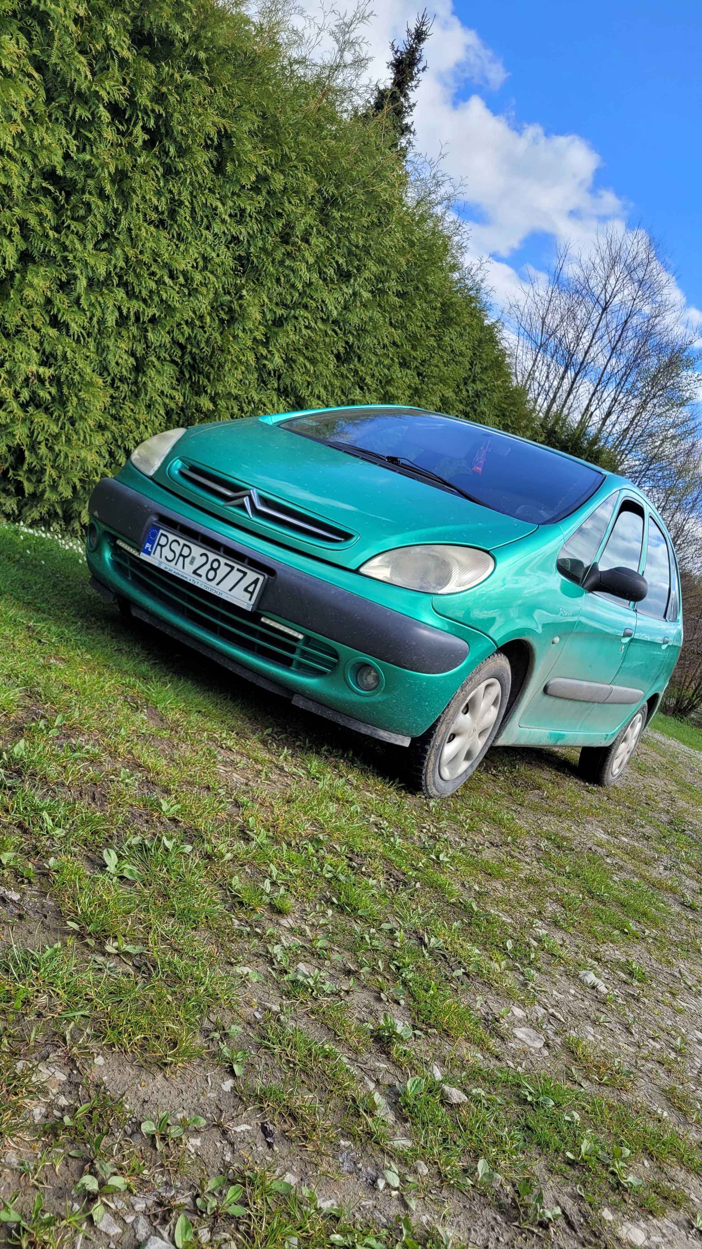 Citroenxsarapicaso