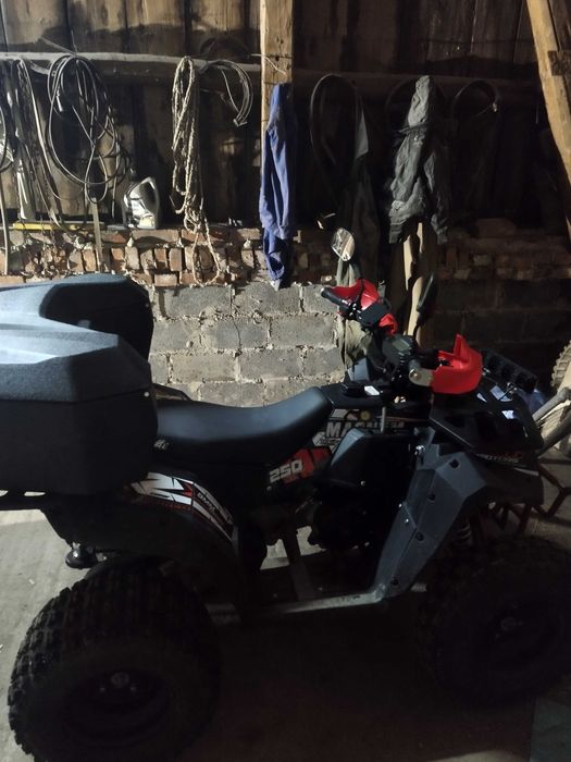 Qlad Magnum 250, 125