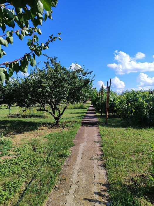 Продам дом недалеко от города, большой участок