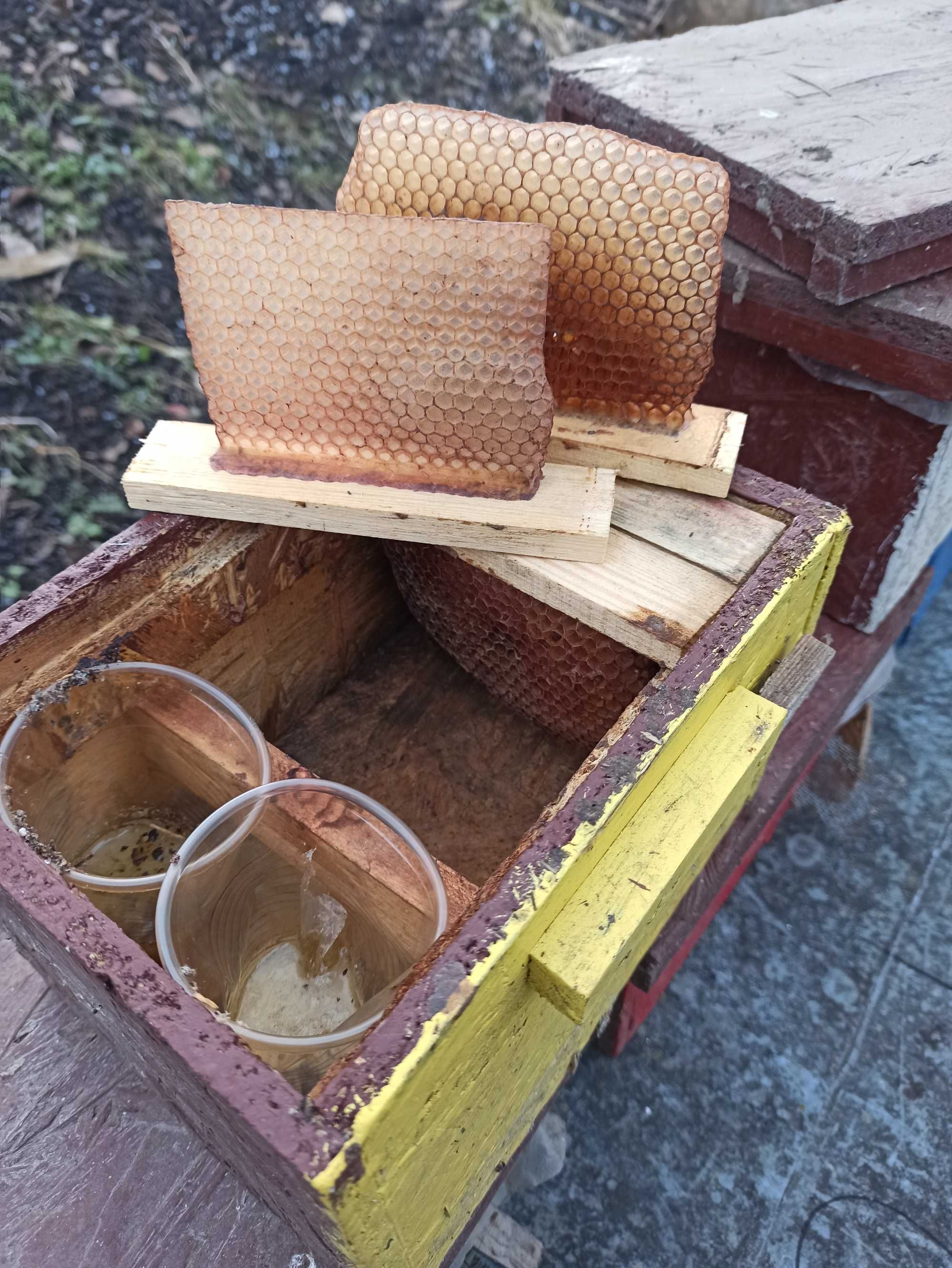 Нуклеуси для бджоломаток. Пчеломаток. Продам.