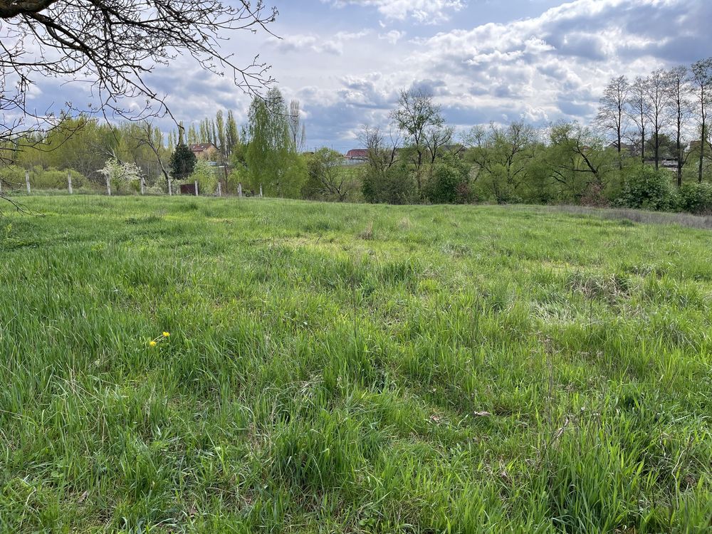 Ділянка з електроенергією. Асфальт. Центр.