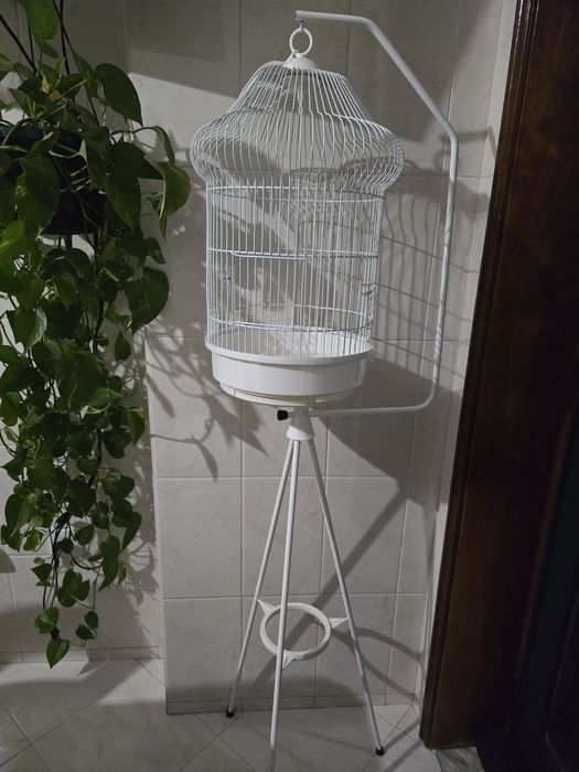 Suporte gaiola pássaro