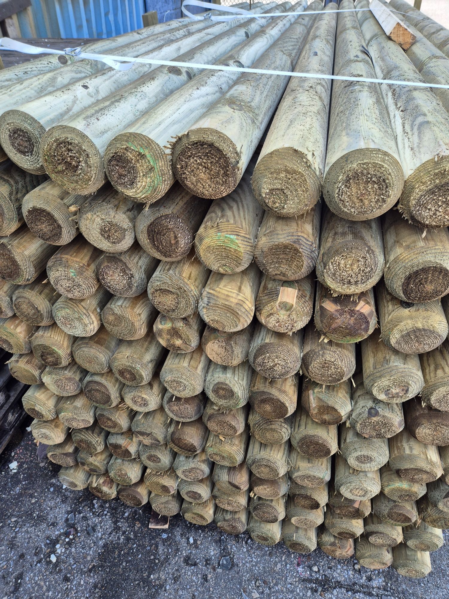 Palisada fi12 wałki toczone bale sosnowe 12x300 3m drągi impregnowane