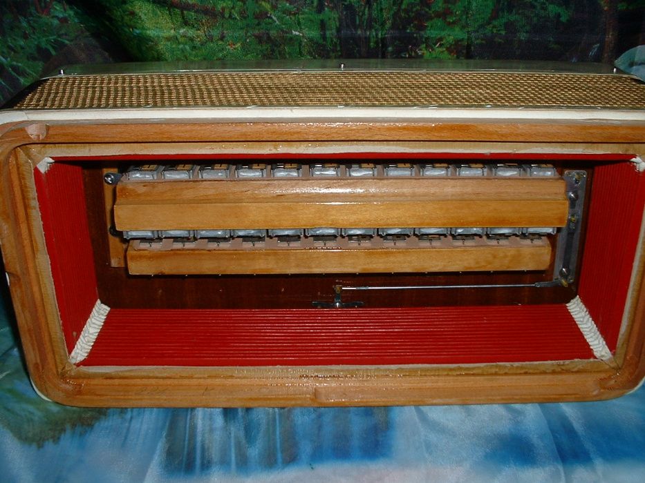 Acordeão Avenda G, .257