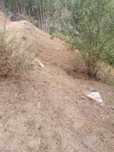 Limpeza de terrenos