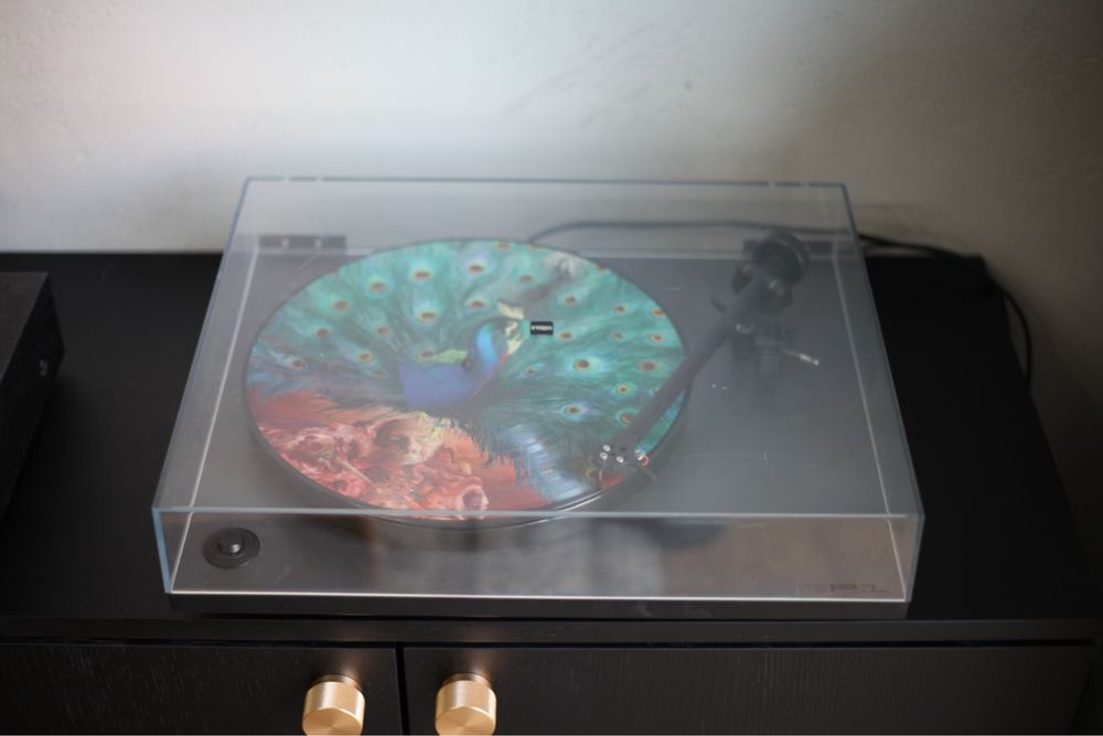 Rega RP1 + Vivanco PA111 przedwzmacniacz