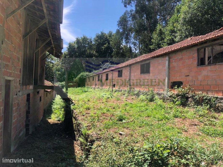 Propriedade Com Três Aviários | Cedrim Em Sever Do Vouga