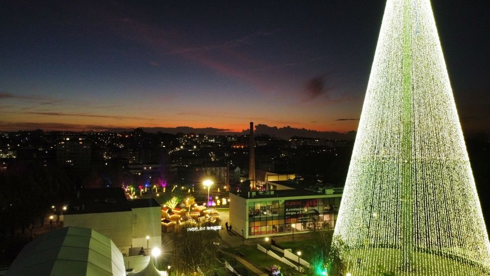 Drone dji mavic mini