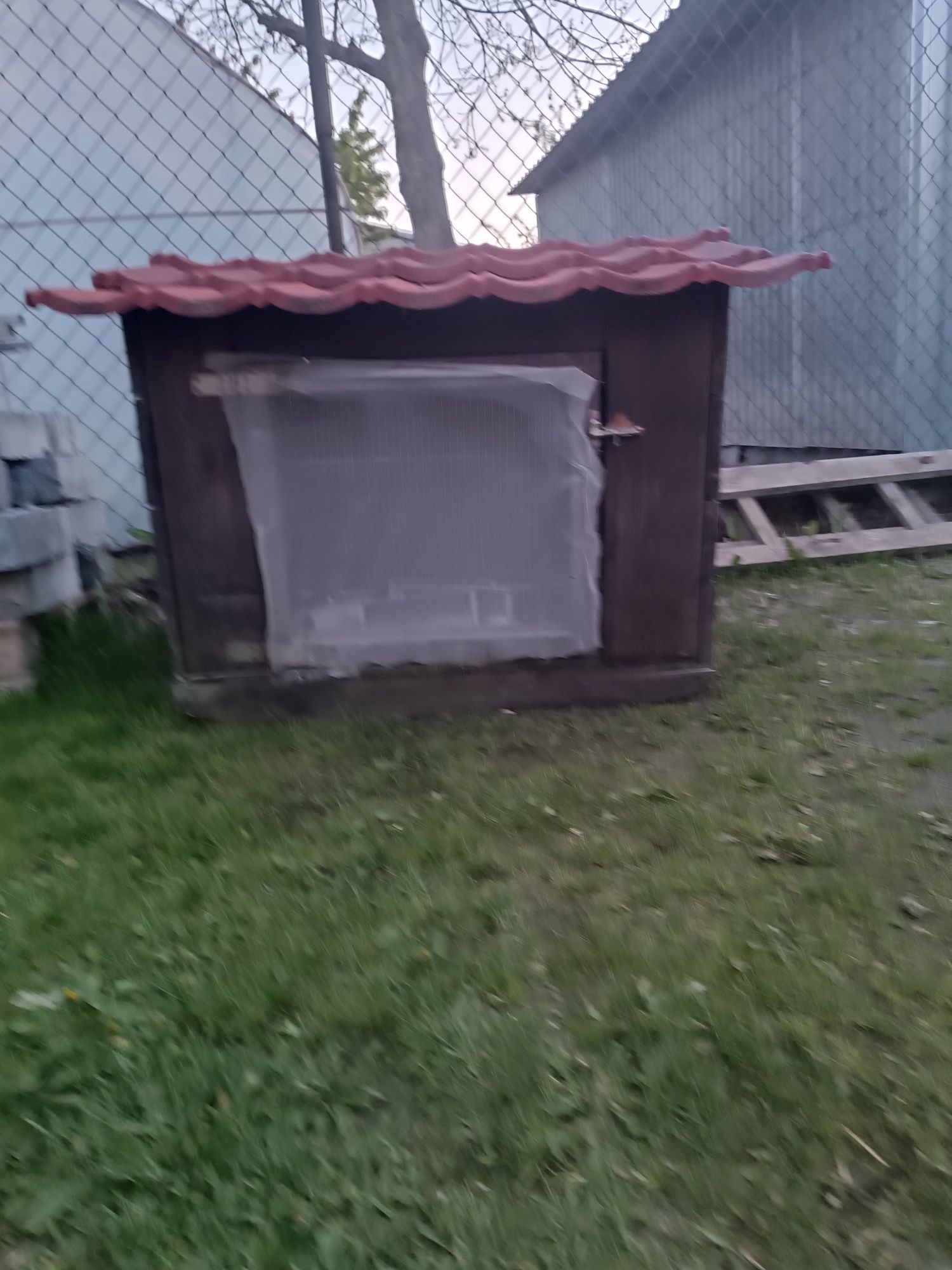 Klatka dla królika