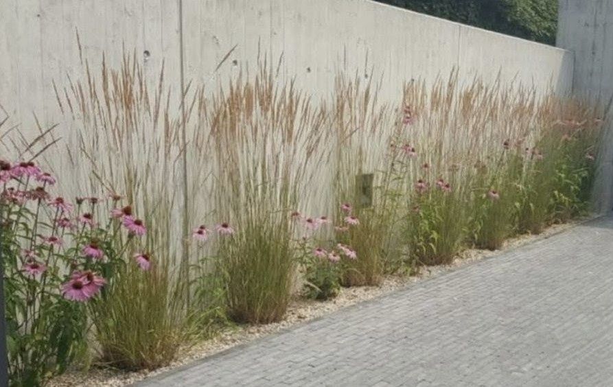 Ogrodzenie betonowe, beton architektoniczny, mur oporowy, L-ki, elki