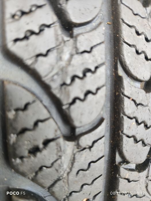 Шины Sava Eskimo LT (Continental) 215/65/16C рік 2021