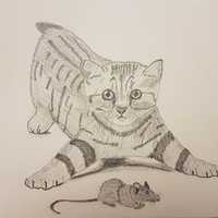 Rysunek kot i mysz format A4