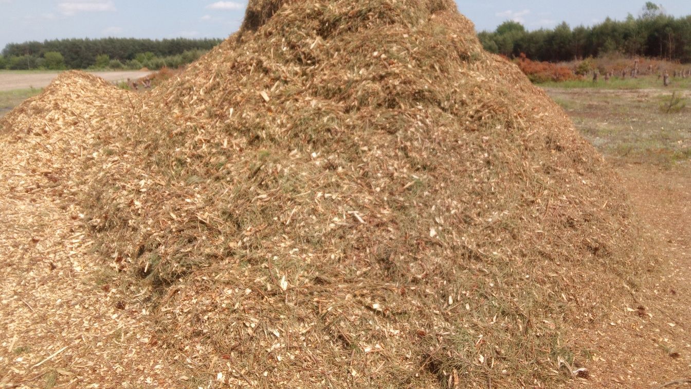 Щепа (паливна тріска) мульча