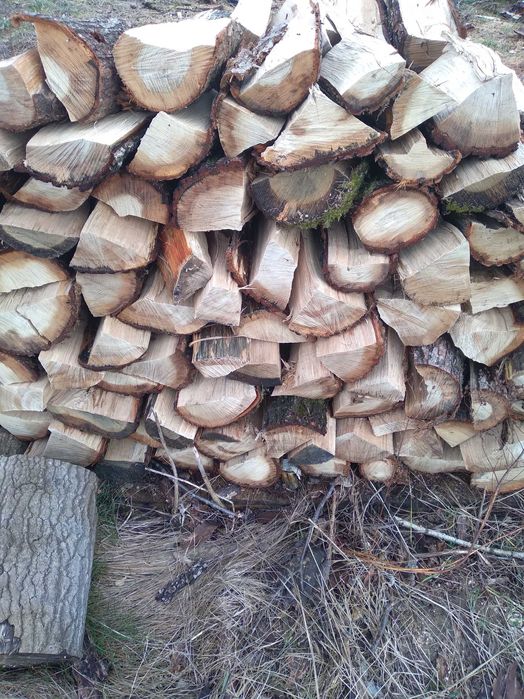 Drewno opałowe kominkowe dąb buk brzoza