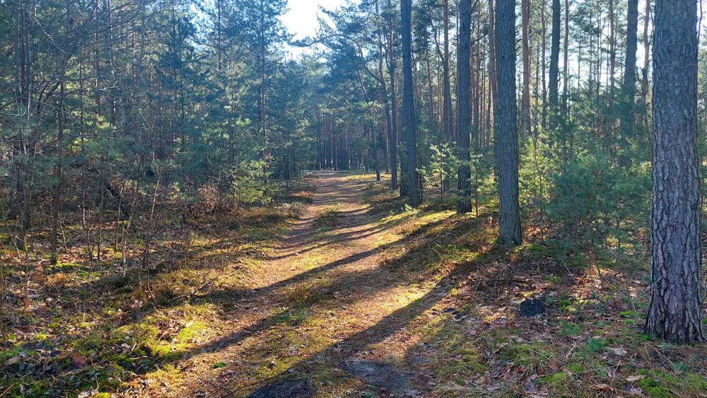 działka budowlana Kamionna/ Łochów pow. Węgrowski