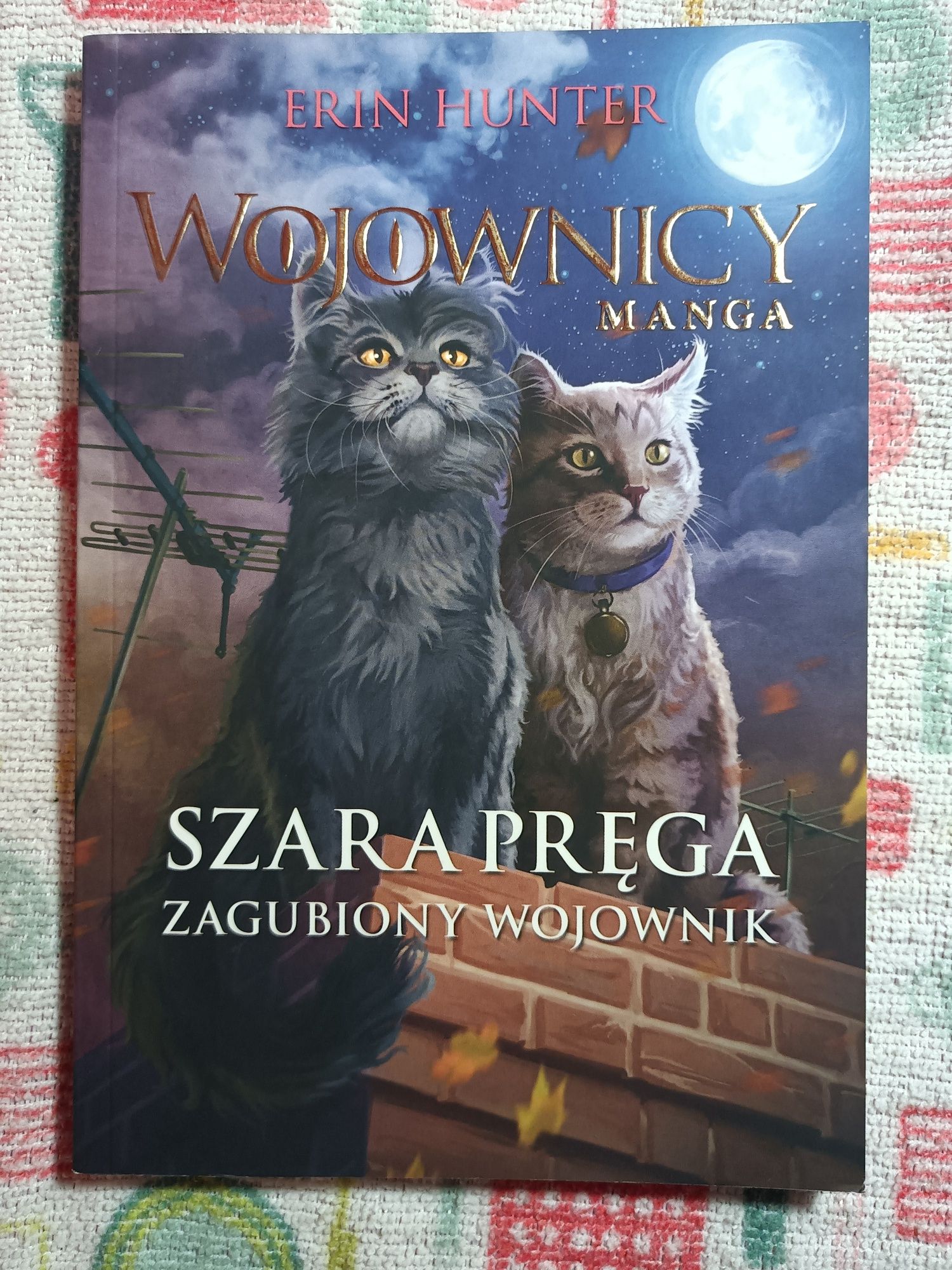 Manga Wojownicy Szara Pręga zagubiony wojownik