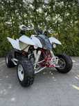 Access Lucky Star 400R Baja*homologacja*hanbary* transport yfz ltz