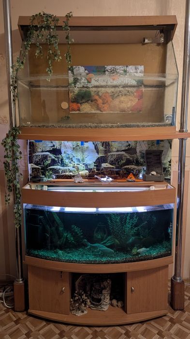Шафа з акваріумами