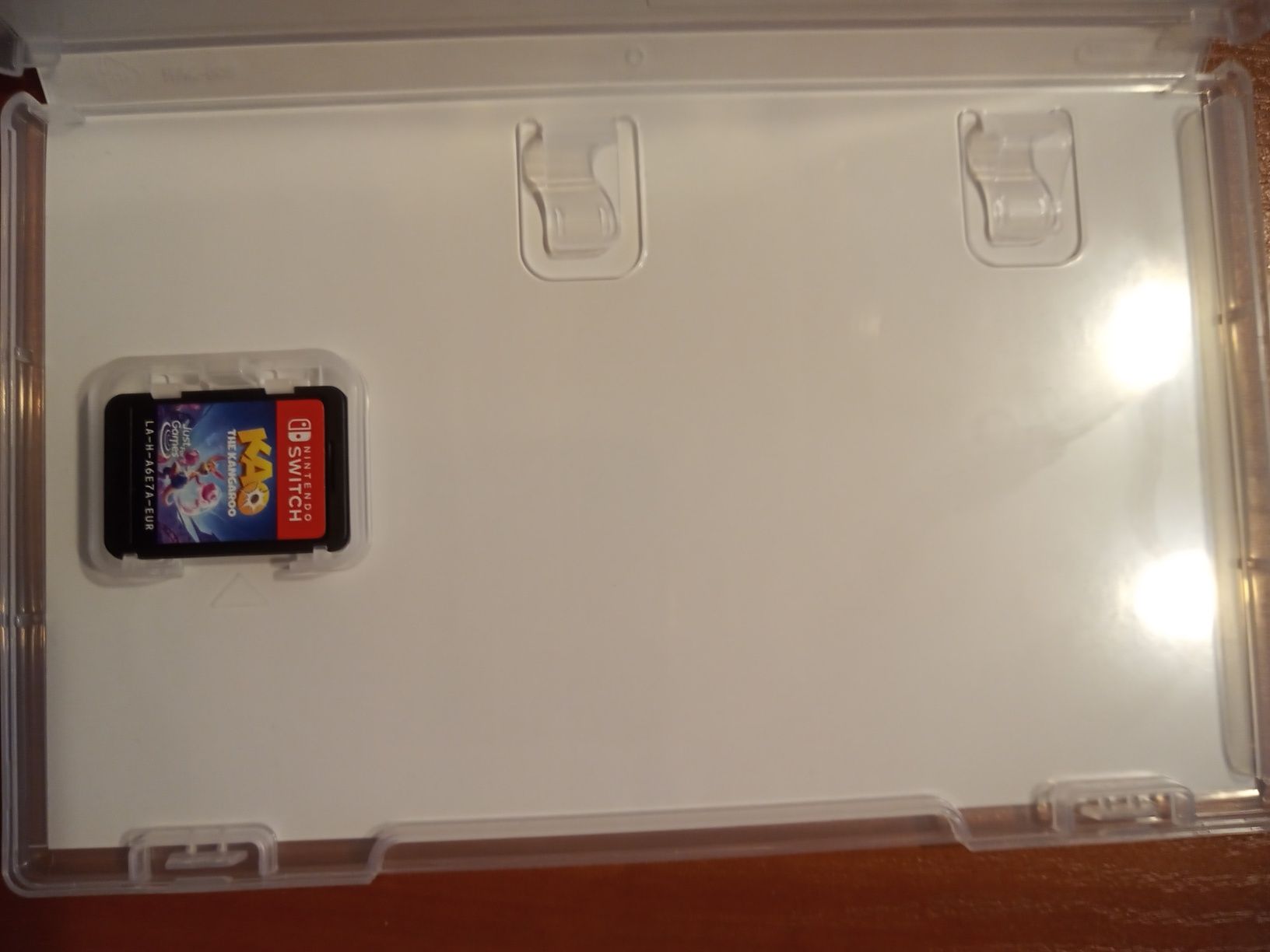 Kangurek Kao na nintendo switch