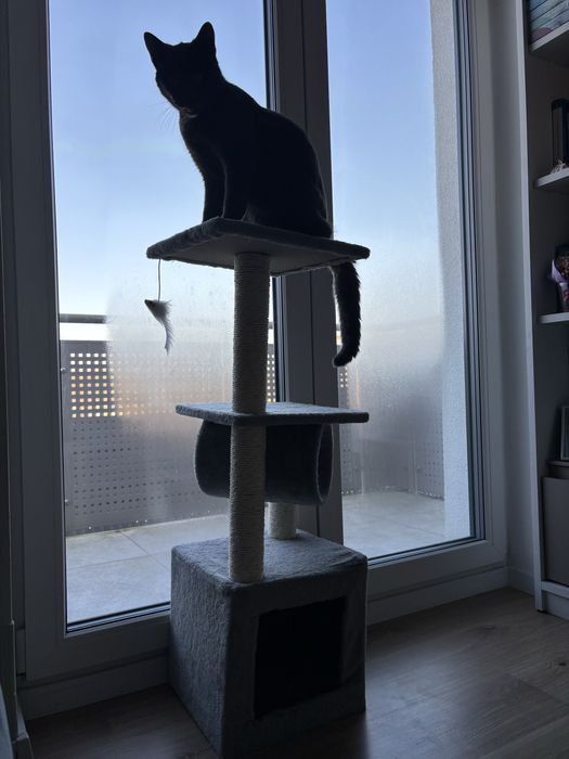 Drapak dla kota 90cm