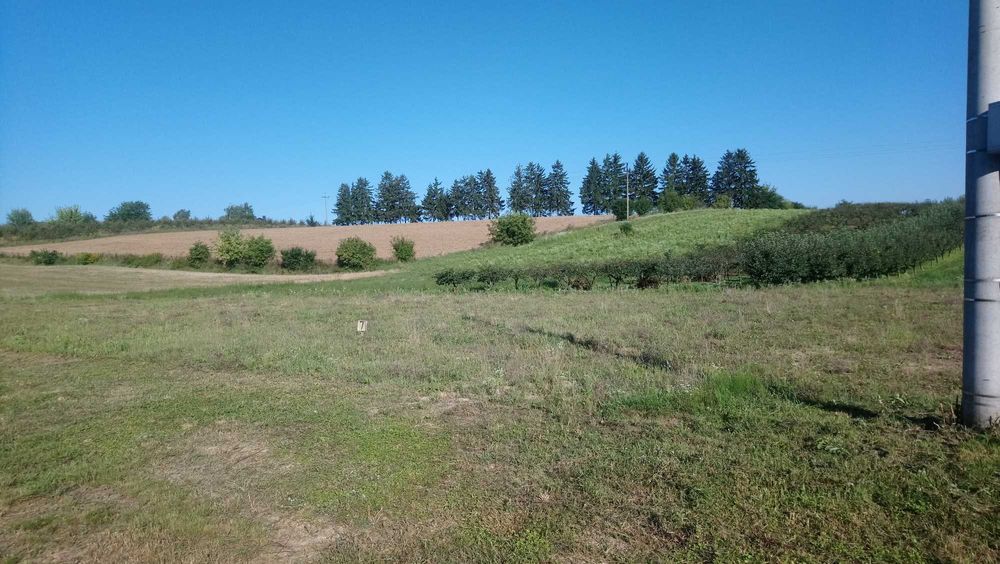 Działka Budowlana 0,1199ha Sandomierz, ul. Sucharzowska  1