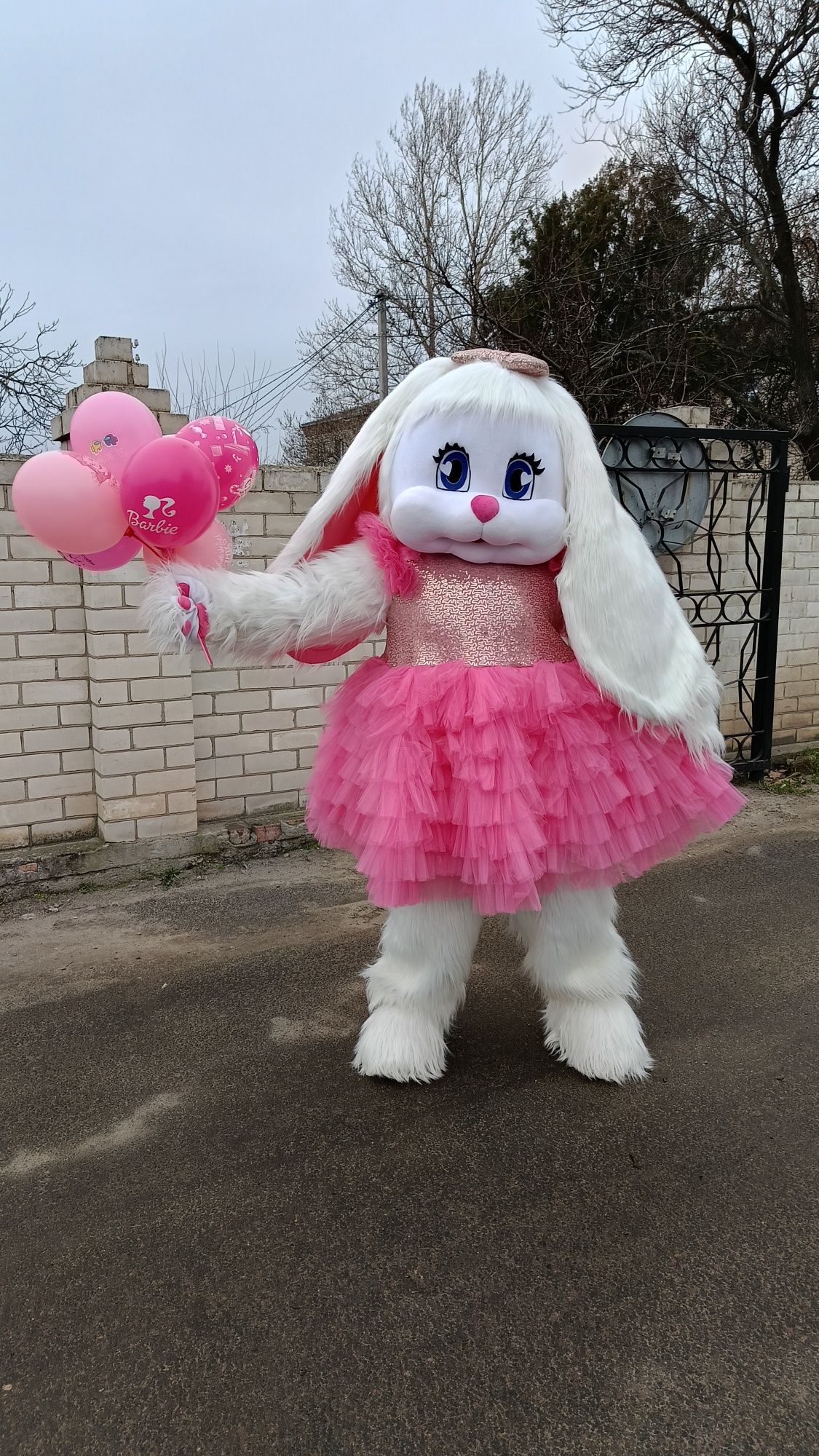 Чарівна Зайка,Киця,Тедді,пес патрон,білий Мішка.Привітання