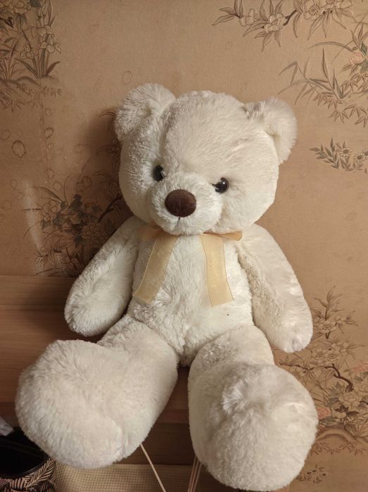 Милий плюшевий ведемедик шукає новий дім