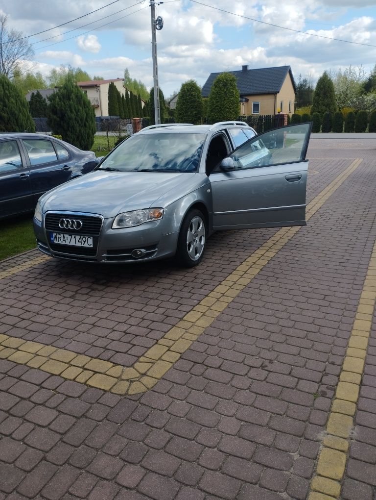 Audi A4b7 2.0 b+g
