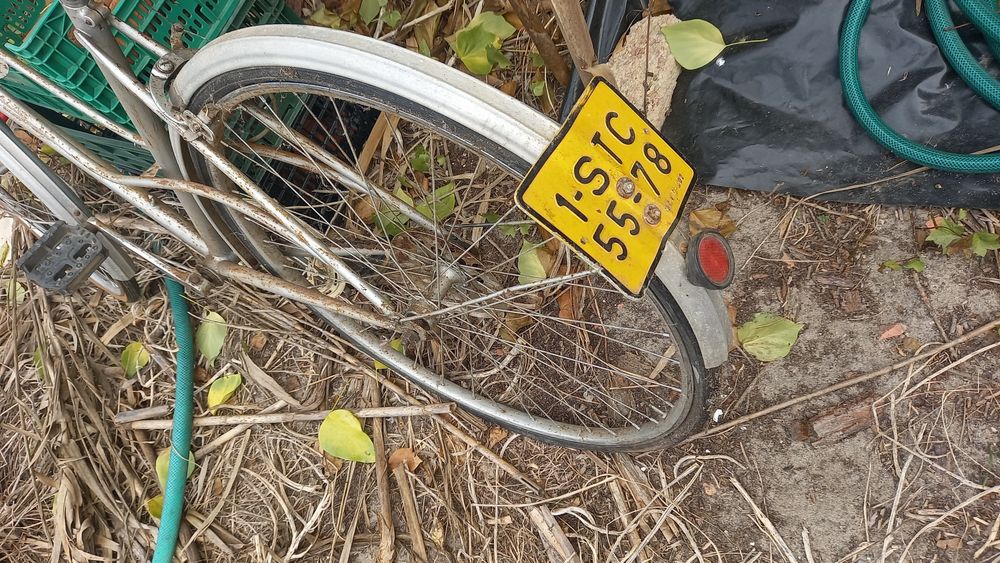 Bicicleta Pasteleira The Omega Cycles Vintage