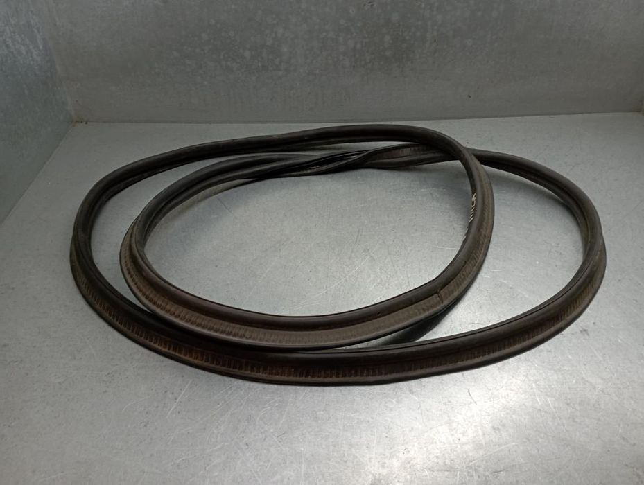 Borracha genérica RENAULT Clio V (BF_)