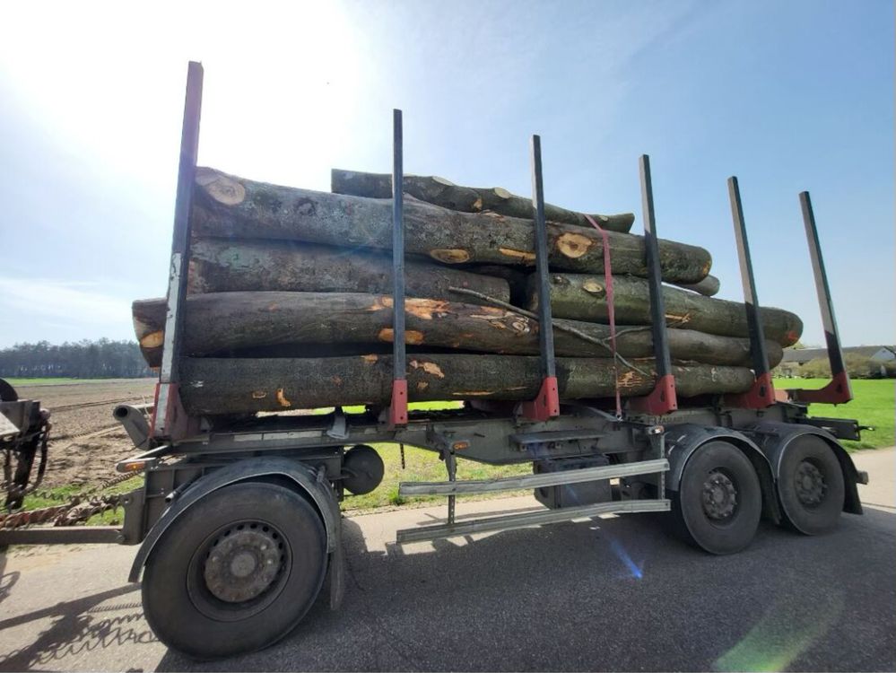 Drewno opalowe rozne gatunki z transportem gratis