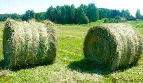 Сіно,солома в рулонах