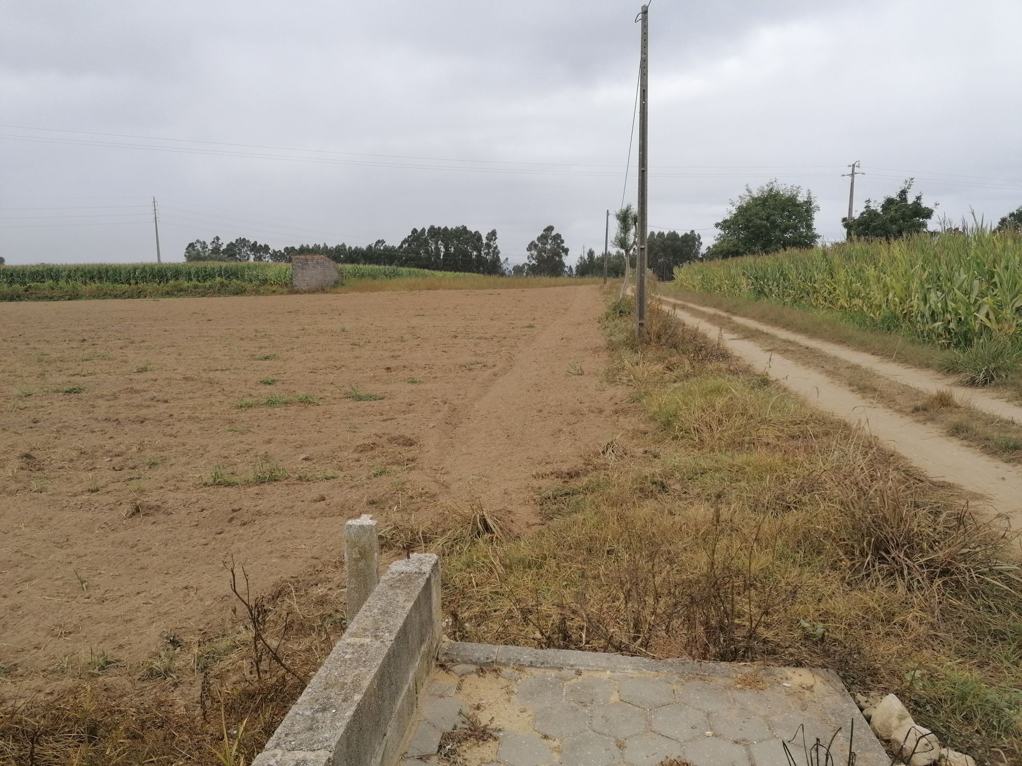 Terreno rústico com aproximadamente 6000m2