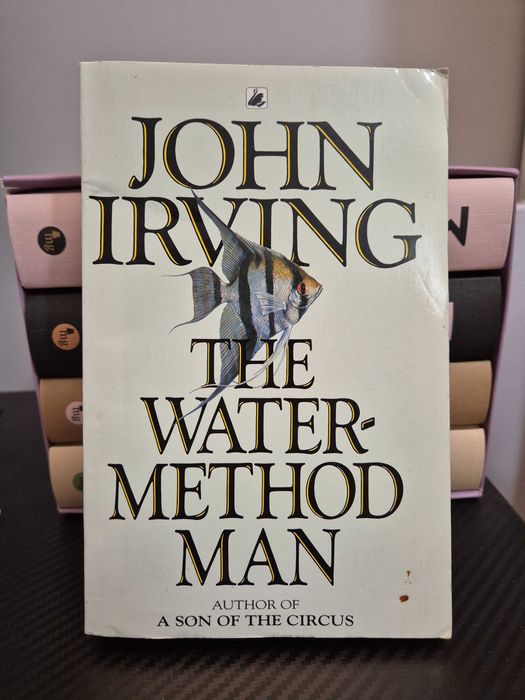 Książka The water-method man, John Irving, po angielsku