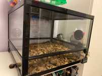 Terarium Repti Zoo