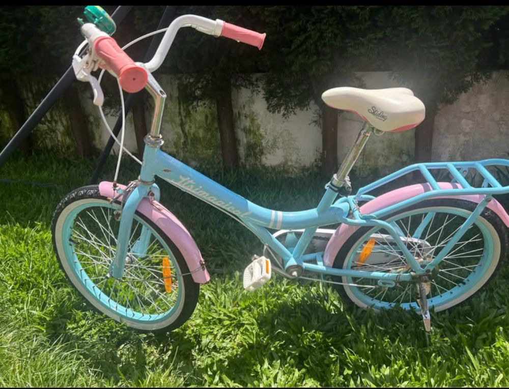 Bicicleta Criança / Roda 20