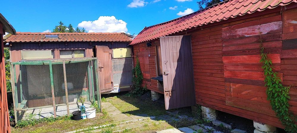 Sprzedaż Gołębników