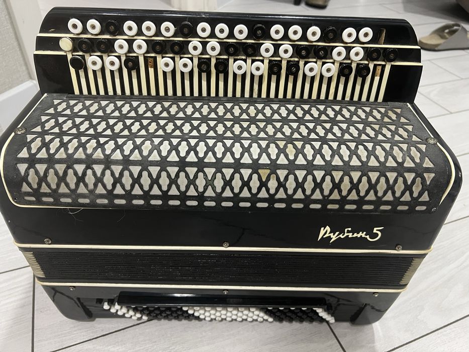 Баян Рубин 5 с чемоданом