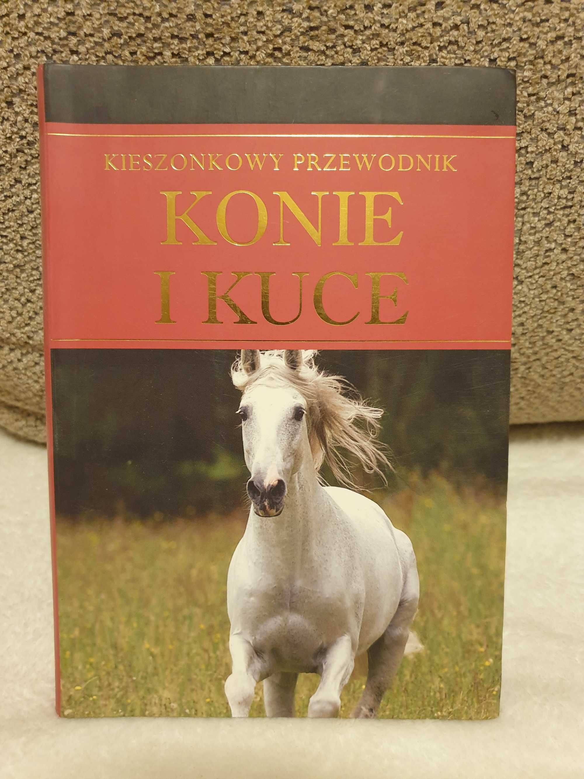 Książka: Kieszonkowy Przewodnik. Konie i Kuce