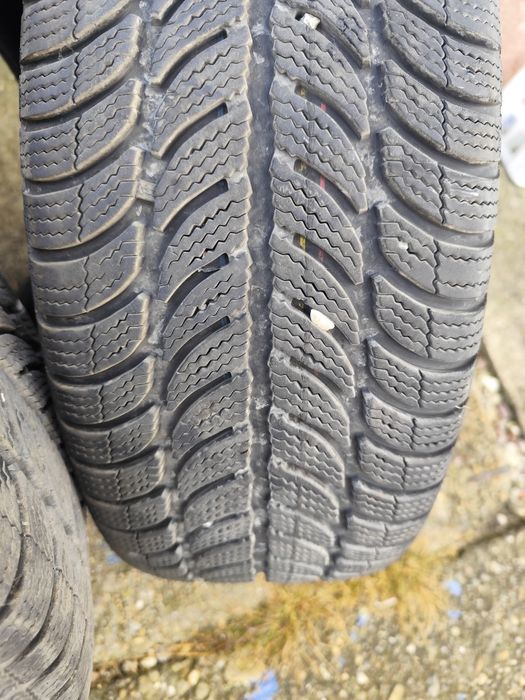 Dębica frigo 2 zima