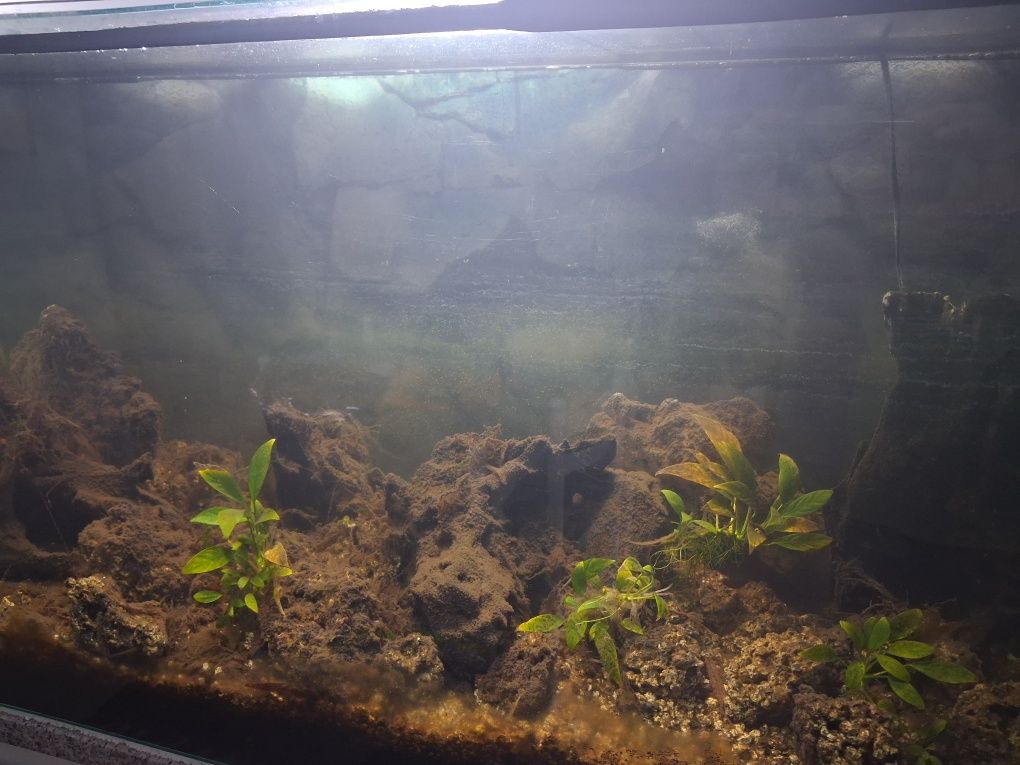 Aquário água quente ou fria completo com 2m