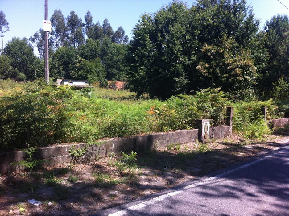Terreno torredeita viseu