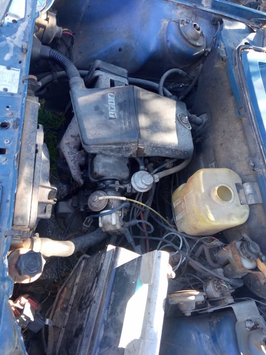 фіат уно fiat uno