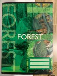 Zeszyt Forest formatu A5 60 kartek w linie z marginesem