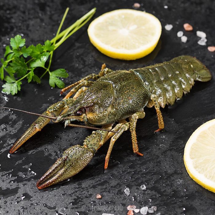 Раки Ракі живі Рівне варені