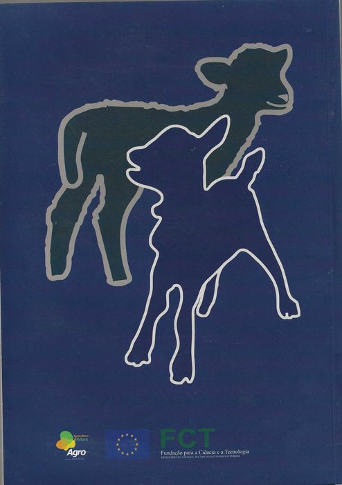 Carcaça e Carne de Borrego e Cabrito