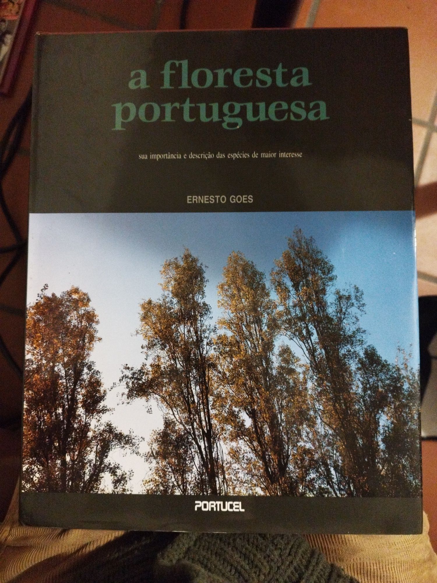 A Floresta Portuguesa