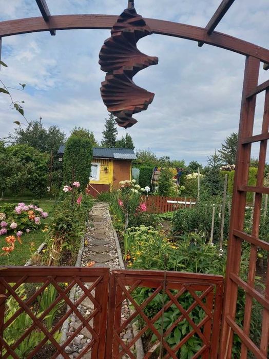 Działka ROD Konwalia OKAZJA TANIO