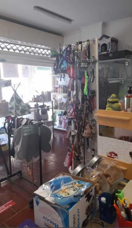 Recheio_móveis Pet Shop diversos itens equipamentos de Banho&Grooming